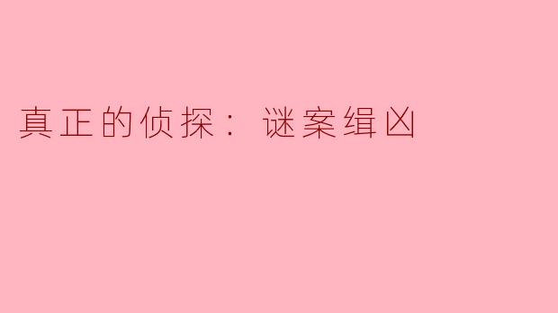 真正的侦探：谜案缉凶