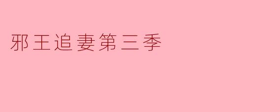 邪王追妻第三季
