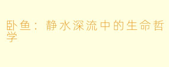卧鱼：静水深流中的生命哲学